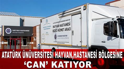 Atat Rk Niversitesi Hayvan Hastanesi B Lgesine Can Kat Yor