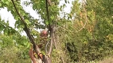 Italian Amateur Sex Scenes Of Hot Homemade Embraces Of British Porn By Faphouse Xhamster