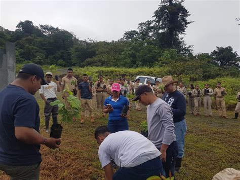 Realizan jornada de restauración forestal en zonas de amortiguamiento