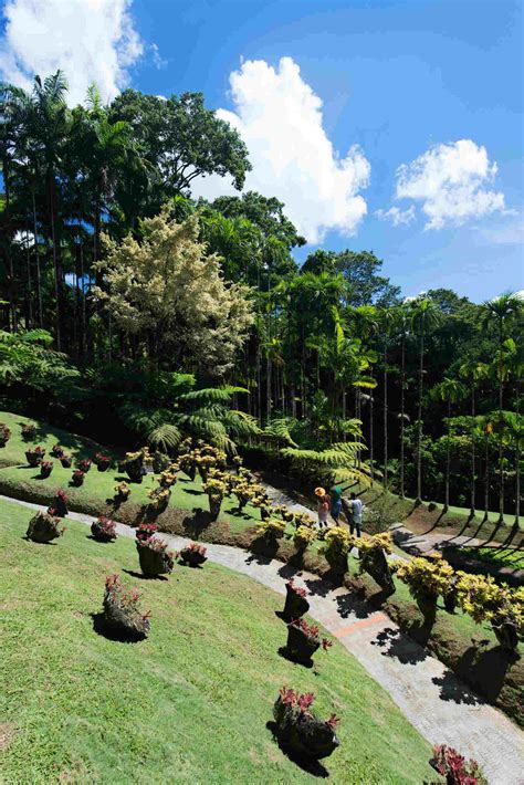 Balata garden admission tickets - Beyond the Beach Martinique