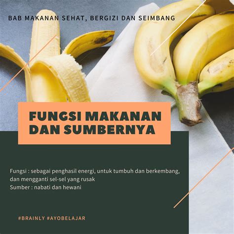 Pola Makan Sehat Bergizi Dan Seimbang 4