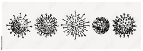 Different kinds of virus - sketches collection. Biology organisms ...