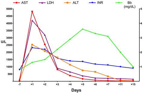 Ijms Free Full Text Congestive Hepatopathy