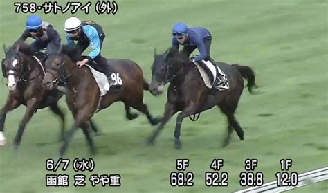 【函館スプリントステークス2023予想オッズ】最終追い切り・調教評価 ゆうちゃりすの競馬ときどき一口馬主ブログ