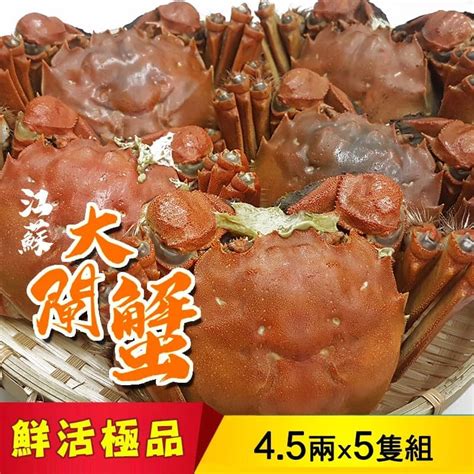 江蘇大閘蟹~正港大閘蟹45兩±5 買5隻送1隻 哇勒購 新鮮水果海鮮購物網｜進口水果｜櫻桃｜明蝦｜香魚