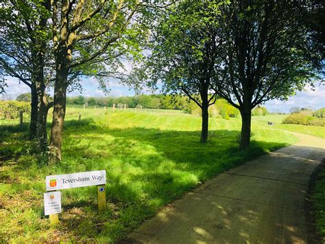 Tarrant Keyneston - Tess Of The Vale