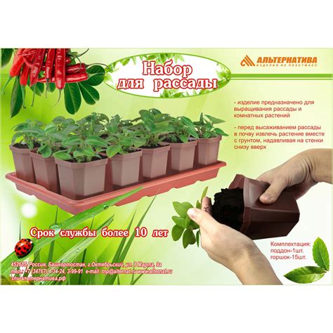 Набор для рассады с поддоном М1007 15 горш. 41х24.5х9.5 купить по ...