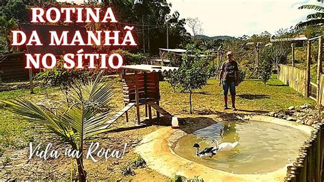 ROTINA DA MANHÃ AQUI NO SÍTIO LIMPEI O LAGO DOS PATOS E PLANTEI FLORES