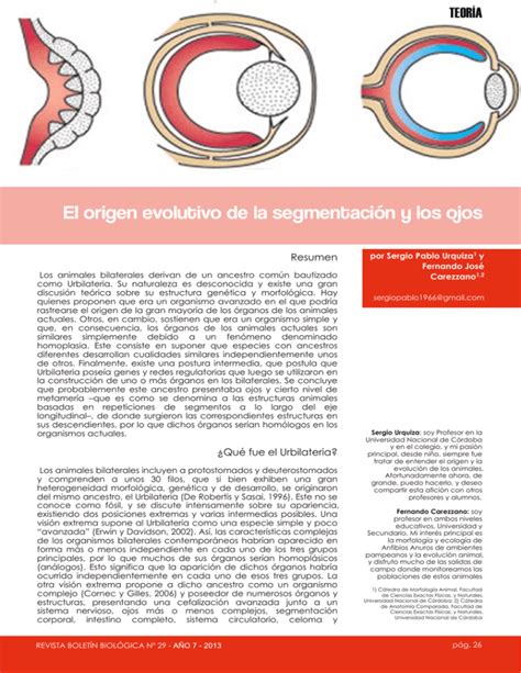 El Origen Evolutivo De La Segmentaci N Y Los Ojos