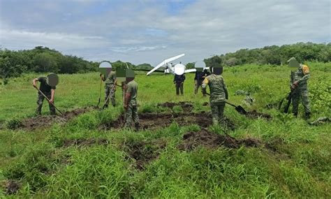 Fgr Y Sedena Inhabilitan Pista Clandestina Y Aseguran Aeronave El Clar N