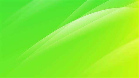 [100+] Lime Green Wallpapers | Wallpapers.com