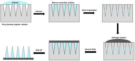 Hydrogel Forming Microneedles Encyclopedia Mdpi