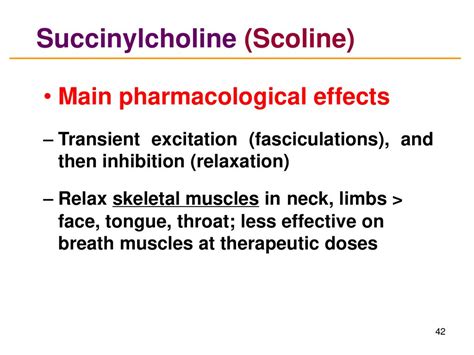 Pharmacology Of The Nervous System Ppt Download