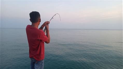 Mancing Dengan Umpan Cumi Cumi Langsung Di Sambar Babon 15Kg Up YouTube