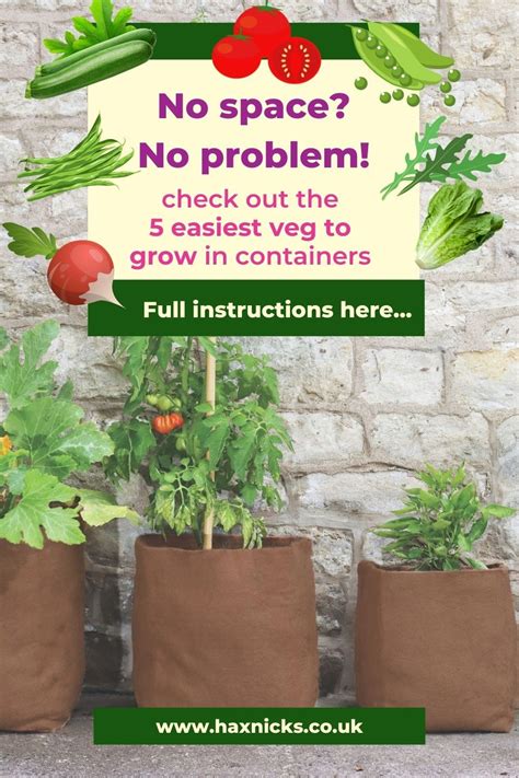 Easiest Vegetables To Grow In Pots Containers Artofit