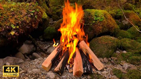 4K UHD Campfire By Mossy Stones In The Forest Relaxing Fireplace