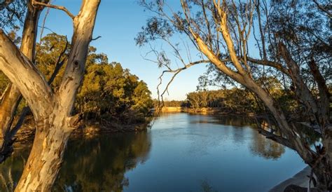 nsw inland waters restocked  drought nsw government