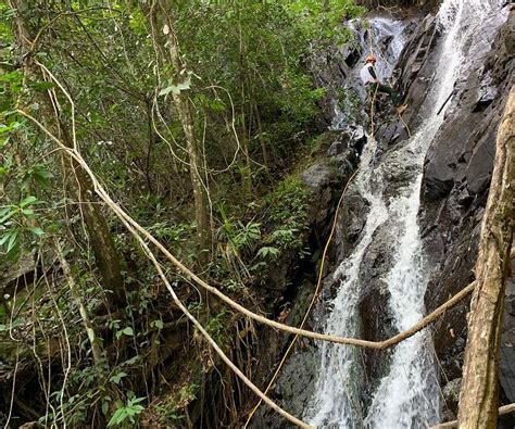 Adventure Tourism In Suriname: The Best Locations For Thrill Seekers ...