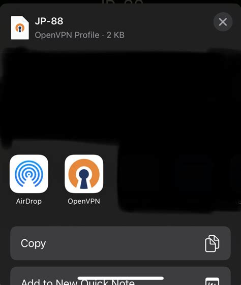 Connect Openvpn Ios