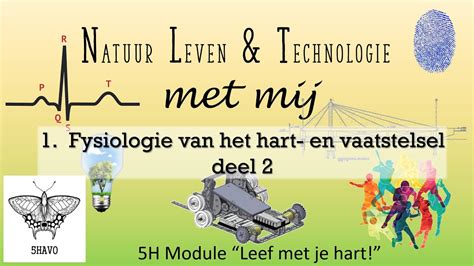 H Nlt Leef Met Je Hart Hfd Fysiologie Van Je Hart En