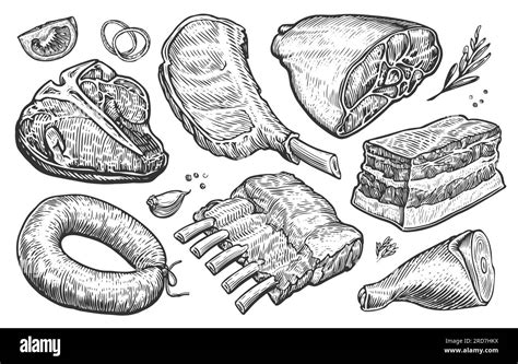 Fresh Farm Meat Products Hand Drawn Illustration For Butcher Shop Or