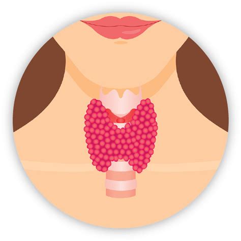 Thyroid Thyroid Png 748x719 Png Clipart Download