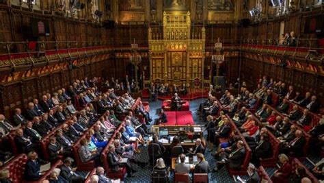 Who is in the House of Lords? Members with backgrounds and professional ...