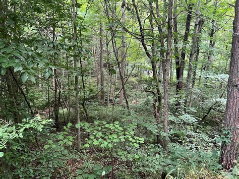 Dougan Road, Patriot, OH 45658 | LandWatch