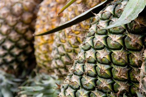 Surprising Health Benefits Of Boiling Pineapple Peel