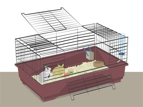 How to Prepare a Rabbit Cage: 9 Steps (with Pictures) - wikiHow