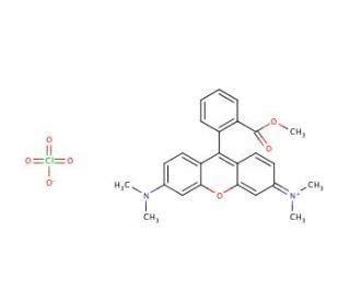 Tetramethylrhodamine Methyl Ester Perchlorate CAS 115532 50 8 SCBT