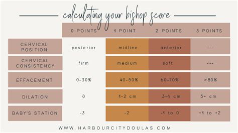 Your Bishop Score Harbour City Doulas