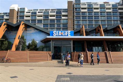 Scheveningen L Aia Biglietto D Ingresso A Sea Life Getyourguide