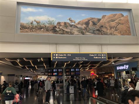 Royal Flusher Vegas: Goodbye Las Vegas