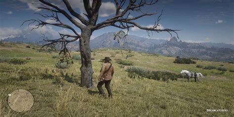 Red Dead Redemption 2 All Dreamcatcher Locations