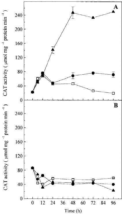 The Specific Activity Of Cat μ Mol Min − 1 Mg − 1 Protein Download