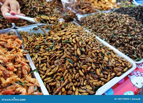 Street Food In Thailand This Is Fried Insect Food Is High In Protein And Delicious Especially