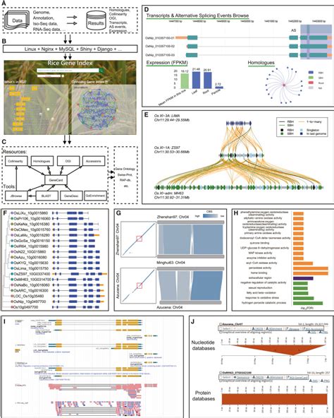 Rice Gene Index A Comprehensive Pan Genome Database For Comparative