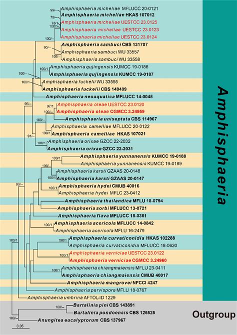 PDF Morpho Molecular Characterization Reveals A New Genus Three