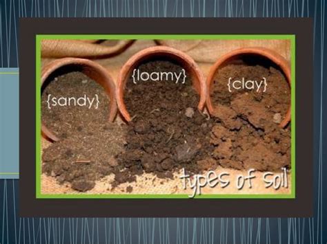 Types Of Soil Ppt