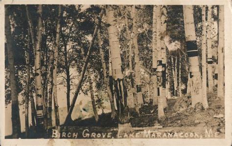 Birch Grove At Lake Maranacook Winthrop Me Postcard