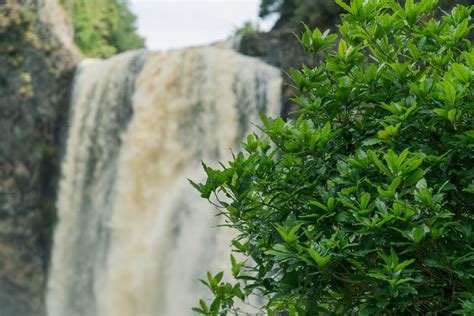 Hunua Falls New Zealand · Free Stock Photo