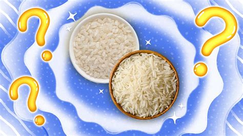 Long Grain Rice vs Short Grain Rice: What’s the Difference Besides Size? | Sporked