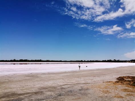 Premium Photo | Pink lake