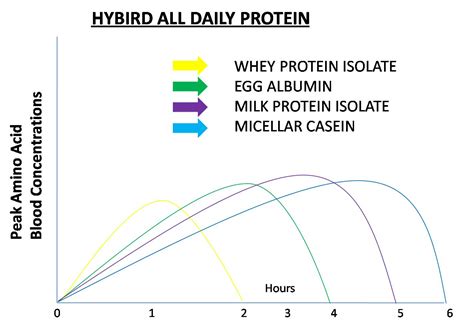 Details On Difference Isolates Whey Proteins And Concentrate Whey Protein