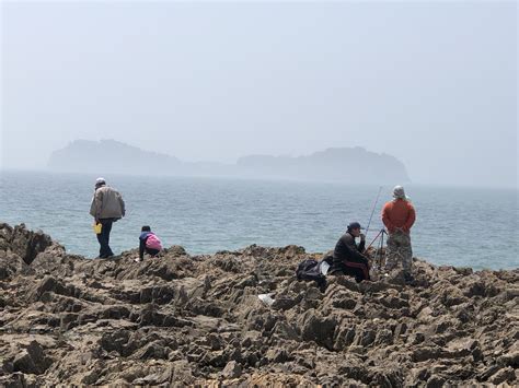 大齐赶海100集大齐赶海大梅赶海第10页大山谷图库