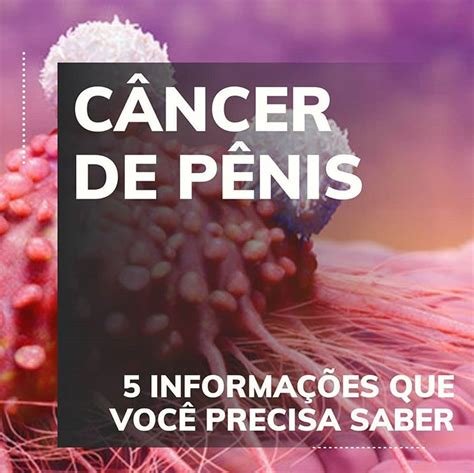 C Ncer De P Nis Informa Es Que Voc Precisa Saber