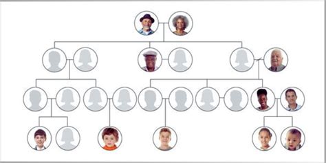 Developing a digital family tree tool to bridge the divide between theory and practice for ...