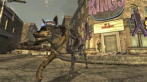 Rex, Fallout new vegas, Moose art