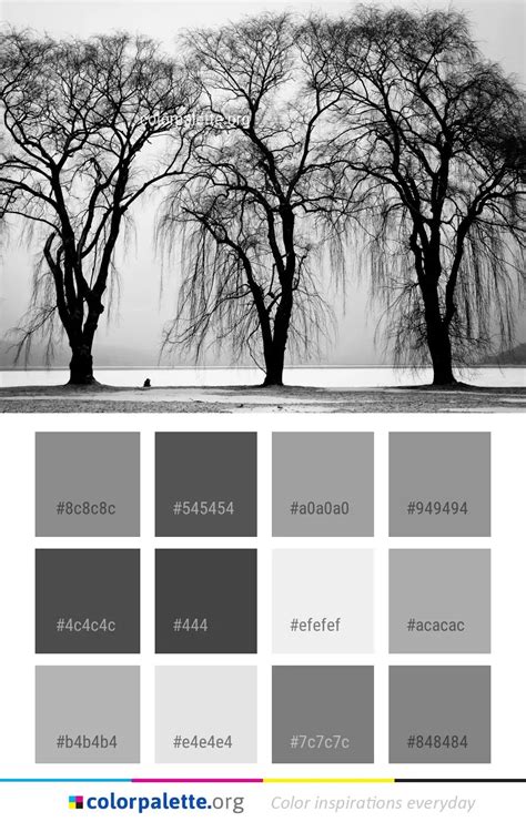 Tree Black And White Woody Plant Color Palette